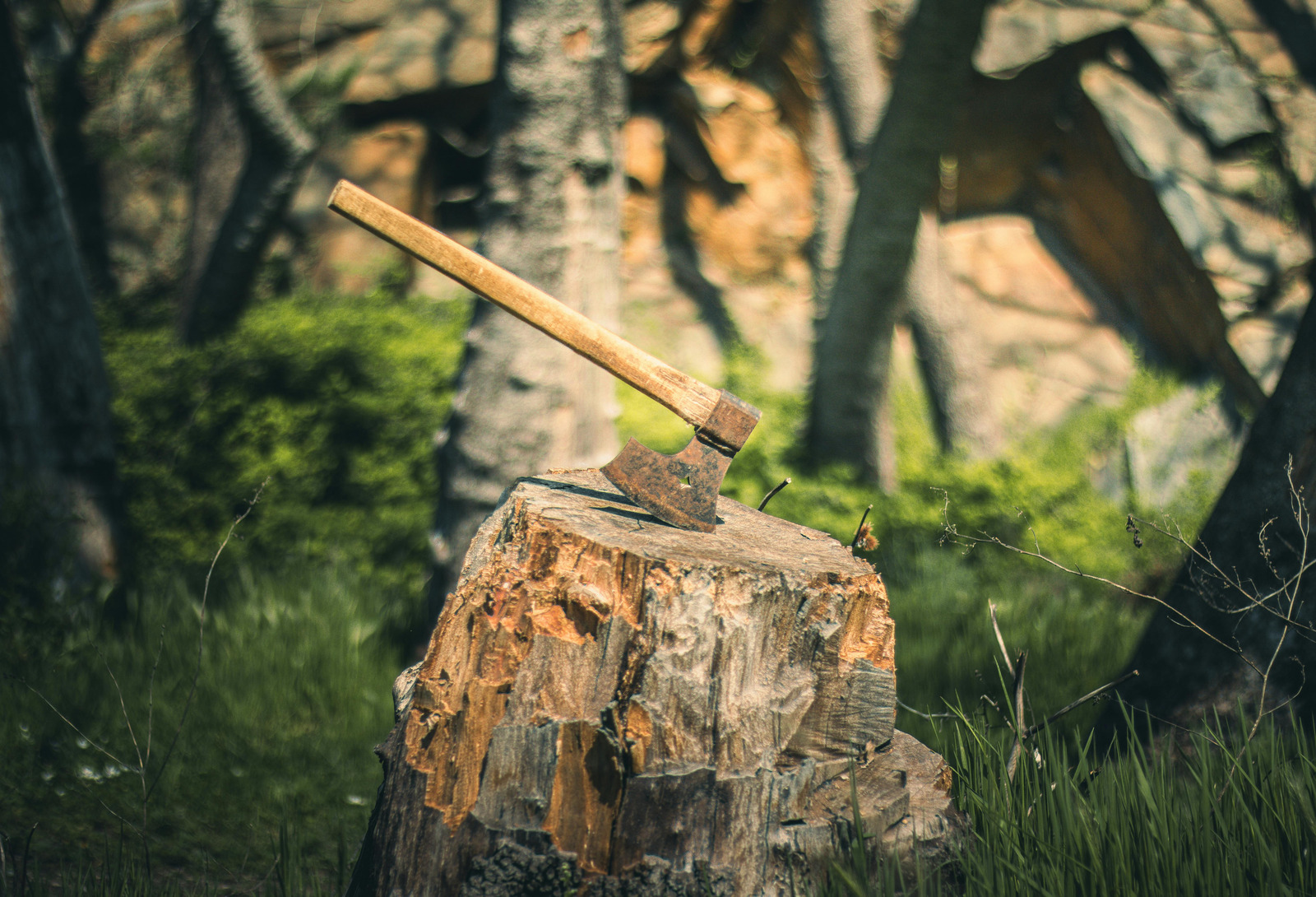 Natur und Handwerk